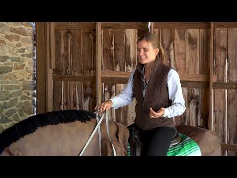 Do horses feel pain when ridden?