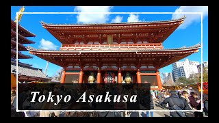 東京・浅草寺で初詣 | Japan Walking Tour