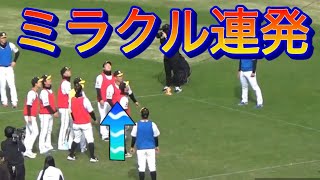 阪神タイガースファン感謝デー2024④　ドッジボール＆そっくりさん探し