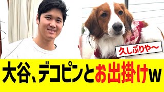 大谷、デコピンと海沿いへお出掛け