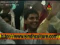 kathe sukkar kathe dadu sindhi romantic song