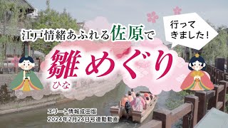 さわら雛めぐり｜香取市｜エリート情報成田版2024年2月24日号　【記事連動動画】