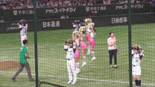 ファイターズガール 2016.8.30 東京ドーム YMCA