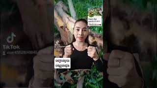 #មូលហេតុបណ្ដាលអោយរលួយបណ្ដូល