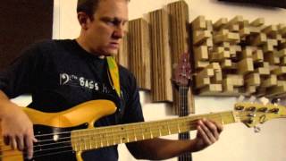 Nordy NP5 pickup Demo - Also Nordy vP5 Bass