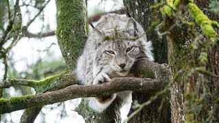 Une rencontre avec la vraie nature ~ Een ontmoeting met ware natuurpracht