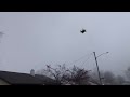 the king quadcopter fly’s through the fog 😳 holyton ht02 mini drone