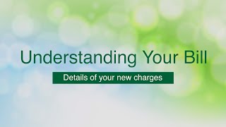 Understanding Your Bill - Details of Your New Charges