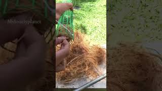 Coir stick making for plants . #diy #diyplanters #diycrafts #diyprojects #garden