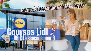 COURSES LIDL PETIT BUDGET | ORGANISATION REPAS ET FRIGO | IDÉES REPAS BUDGET EXTRÊME