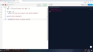 SDD Lesson 4 - Python | Selection using IF statements