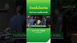 วัวคลั่ง! ขวิดคนเลี้ยงอัดกำแพง สาหัส | ThairathTV