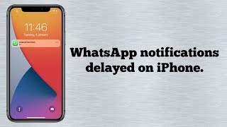 Delay in Receiving WhatsApp Messages on iPhone iOS 17 (Fixed)