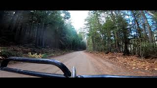 Epic Atv Riding on Madawaska River Logging Trails!