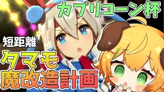 【ウマ娘/女性実況】カプリコーン杯、魔改造に手を出してしまいました。。。【わんこわんわん/STAR SPECTRE】