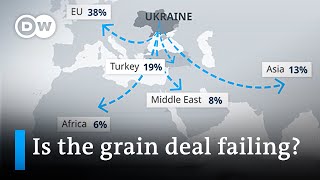Putin threatens to pull out of grain deal ahead of meeting Turkey's Erdogan | DW News