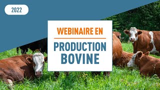 Webinaire en production bovine