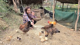 Single mother harvests wild vegetables to sell. Takes care of son. Takes care of pets