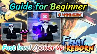 Roblox| Fruit Reborn|| GUIDE for BEGINNER || Fast level /power up #roblox   #fruitreborn