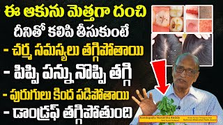 Amazing benefits of kuppinti aaku || Kuppintaku Plant Uses in Telugu | Pippi Pannu | Dandruff | Skin