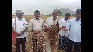 ఆదుకోక పోతే ఆత్మహత్యలే శరణ్యం అంటున్న అన్నదాత