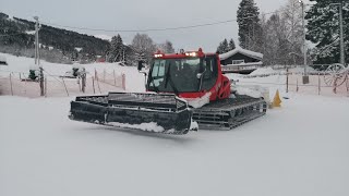 Piston Bully Grooming Snow At Harpefossen