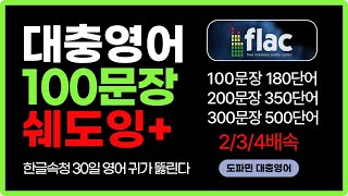 FLAC 2배 영어 | 대충영어 100 | 몸에 좋은 Wav 파일로 녹화