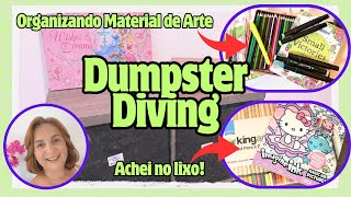 🖍️ Organizando Minha Estante de Arte. DUMPSTER DIVING: Materiais Achados no Lixo dos EUA! 🎨