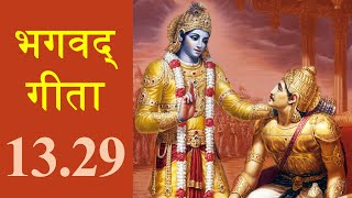 Bhagavad Gita 13.29 | Chapter 13 Shloka 29 | भगवद् गीता 13.29 | अध्याय 13 श्लोक 29 | Gita Shloka 518