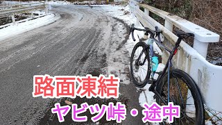 【ヤビツ峠・路面凍結】🇯🇵菜の花台まで到達できなかった