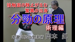 合気柔術チャンネル　合気技法からみた中国武術　#006　分勁　術理編　aiki　makoto　okamoto