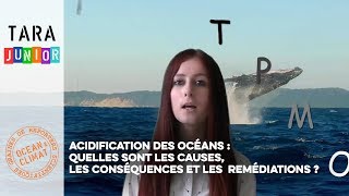 Acidification des océans : quelles sont les causes, les conséquences et les remédiations ?