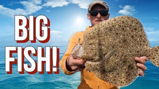 Turbot Fishing UK: Turbot and Brill Fishing in the Channel Islands!