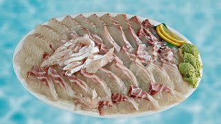 뽀얀속살! 참돔회뜨기! 기름 올라오는중! red sea bream sashimi