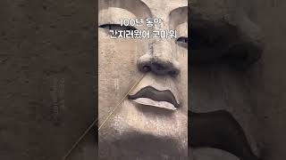 100년동안 간지러웠어 고마워  #documentary  #다큐  #다큐멘터리  #일상