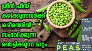 Amazing Health Benefits of Green Peas | ഗ്രീൻ പീസിന്‍റെ അത്ഭുത ആരോഗ്യഗുണങ്ങൾ | Matar Health Benefits