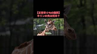 【正答率0％の難問】 キリンの角は何本？【いきもの雑学】 #Shorts