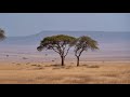🤍 Nasheed for Anxiety Relief — Gentle Islamic Vocals for Inner Peace