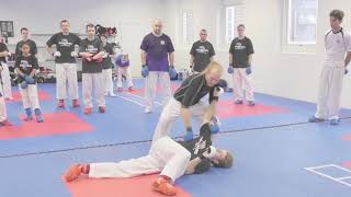 Karate seminar in Sweden - Victor Bull