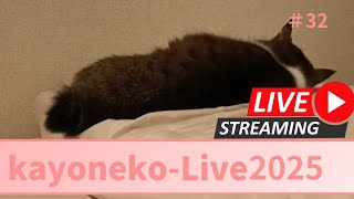 【夜の猫ライブ】かよねこライブ＃2025