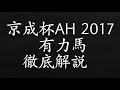 京成杯オータムハンデ　2017　予想　有力馬　解説