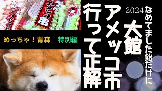 【めっちゃ！青森】青森県民が大館アメッコ市に行ってみた！