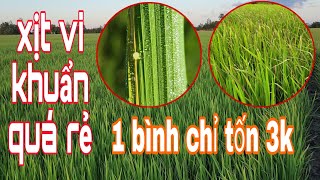 Vi khuẩn phun xịt thuốc gì hay nhất?. Bà con nên xem mà áp dụng.