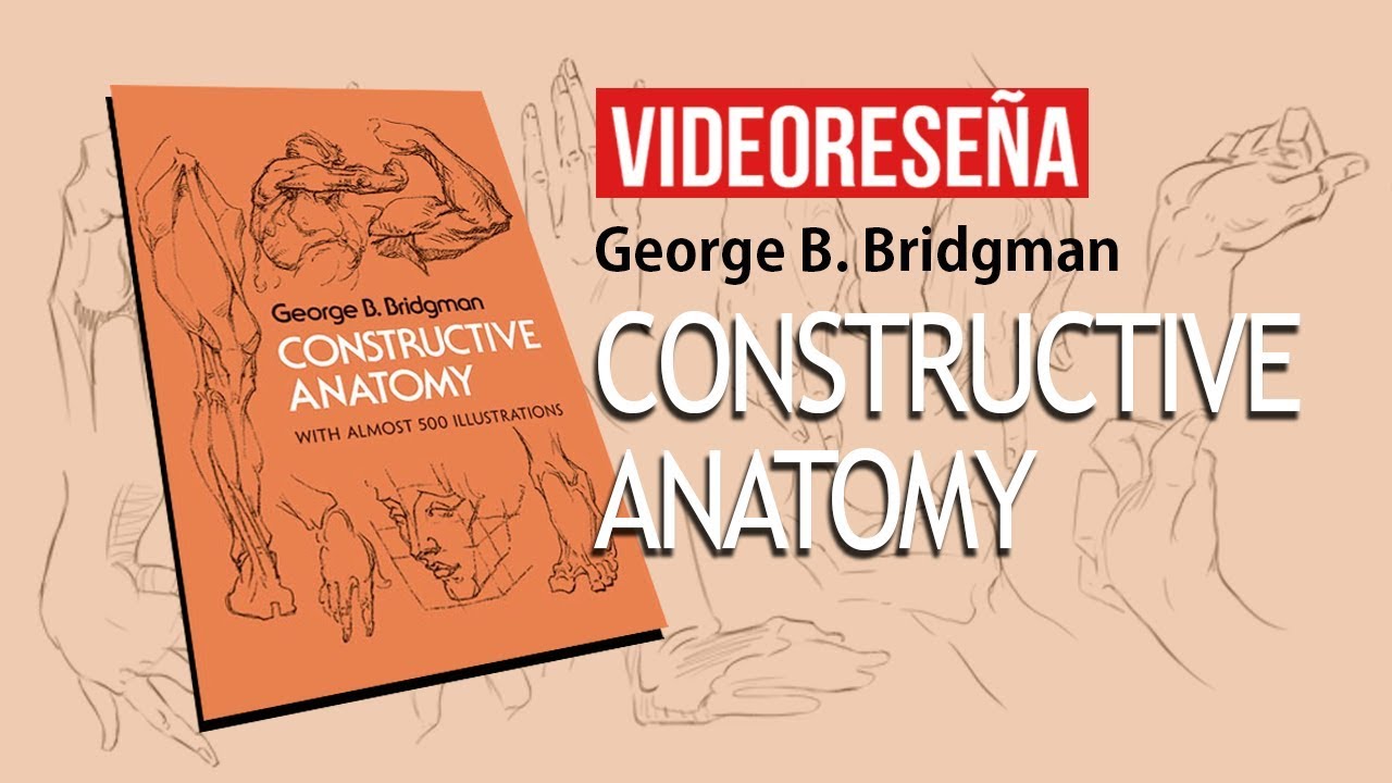 Videoreseña: "Constructive Anatomy" De George B. Bridgman - YouTube