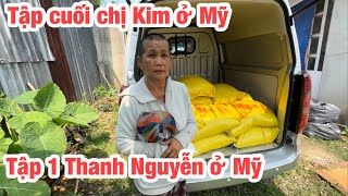 1 tháng nay các bé chó trạm chị Chín ăn cơm không ăn cháo nhìn các bé tròn ra .