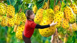 Daily Life | Harvesting Tet Grapefruit Goes to Market Sell - The world's largest grapefruit