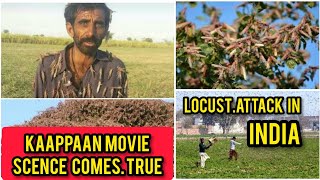 KAAPPAAN movie scence comes TRUE | Locust attack in India | Tamil