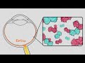 genes as medicine hhmi biointeractive video