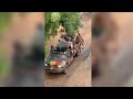 Armée Malienne dans les rues du Nioro du Sahel aujourd'hui dimanche