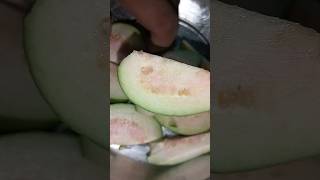 guava benfits #ఎన్నో లాభాలు ఉన్న జామకాయ#ytshorts #trending #youtubeshorts #health #shorts #reels